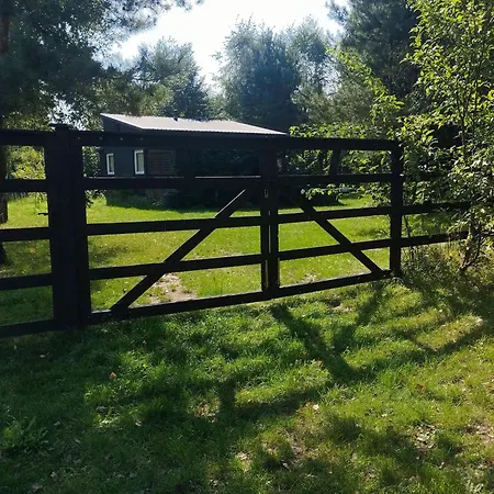 Zacisze The Skuzos *