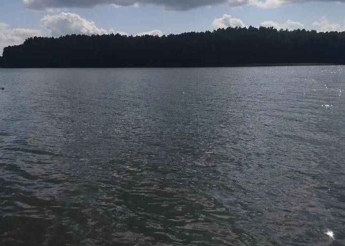 Сasa de vacaciones Zacisze The Skuzos *