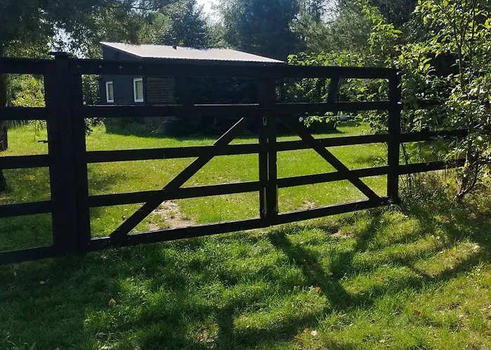 Zacisze The Skuzos *